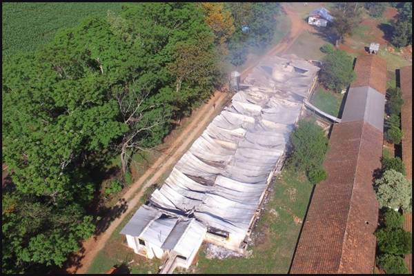 Incêndio mata mais de mil suínos em Coronel Bicaco