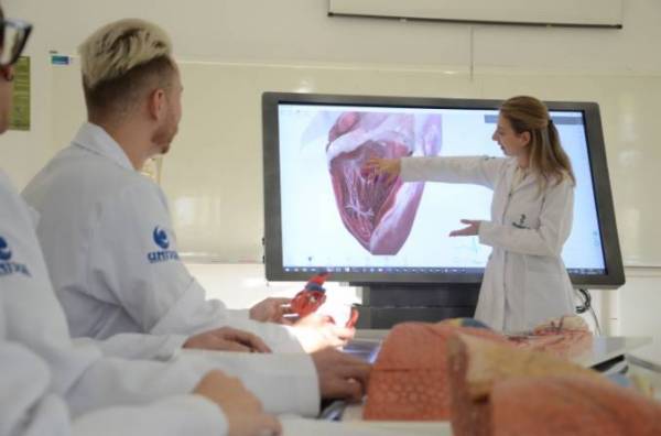 Alunos da Unijuí utilizam mesa anatômica 3D para dissecação virtual