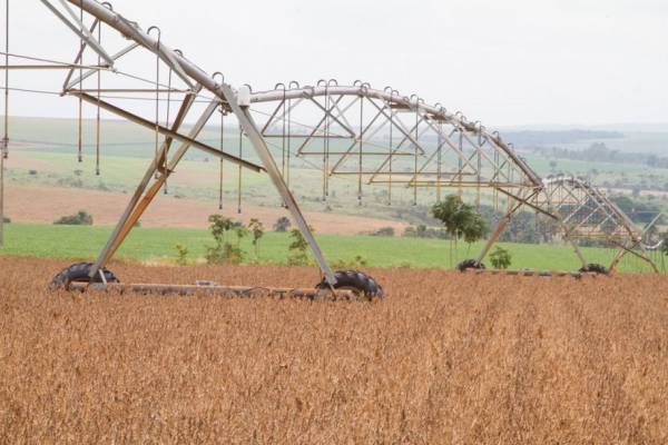 Safra de grãos fecha 2019 com recorde de 241,5 milhões de toneladas