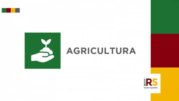 Agricultura encaminha medidas de emergência para amenizar efeitos da estiagem