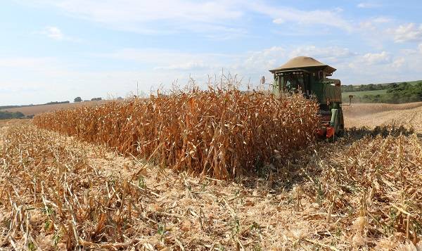 Técnicos da Agricultura vêm ao RS para avaliar situação das lavouras