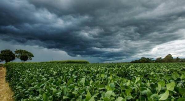 Chuva volta e produtores esperam que, agora, ela seja mais regular