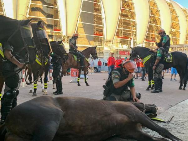 Égua da Brigada Militar morre no pátio do Beira-Rio antes de Inter x Tolima