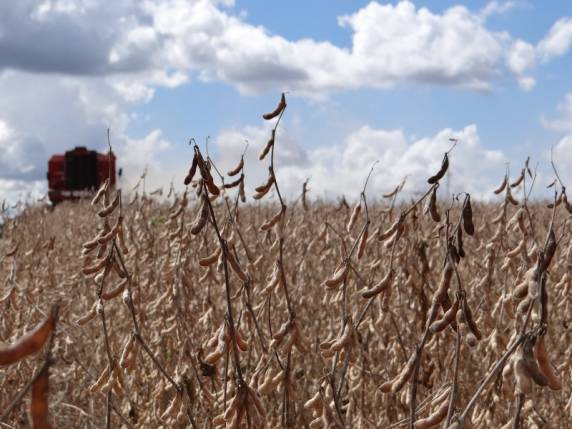 Crédito rural tem novas regras com entrada em vigor da MP do Agro