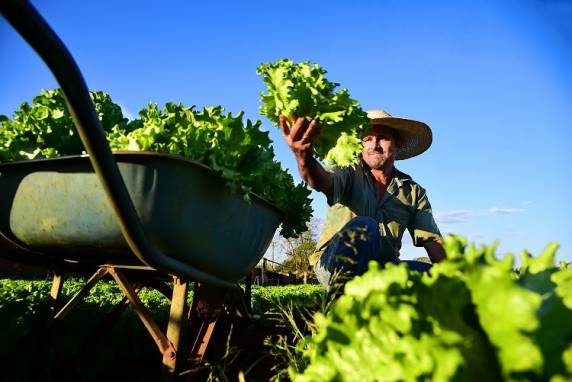 Contag quer plano safra específico para agricultura familiar