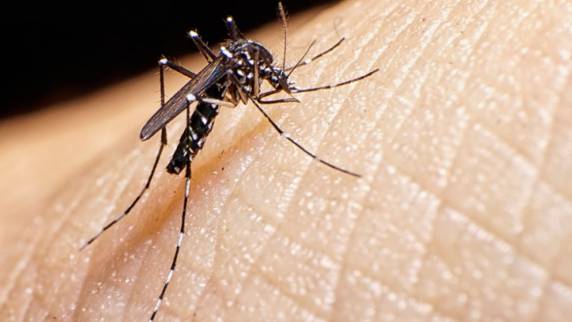 Santo Ângelo e Santo Cristo têm quatro mortes por dengue