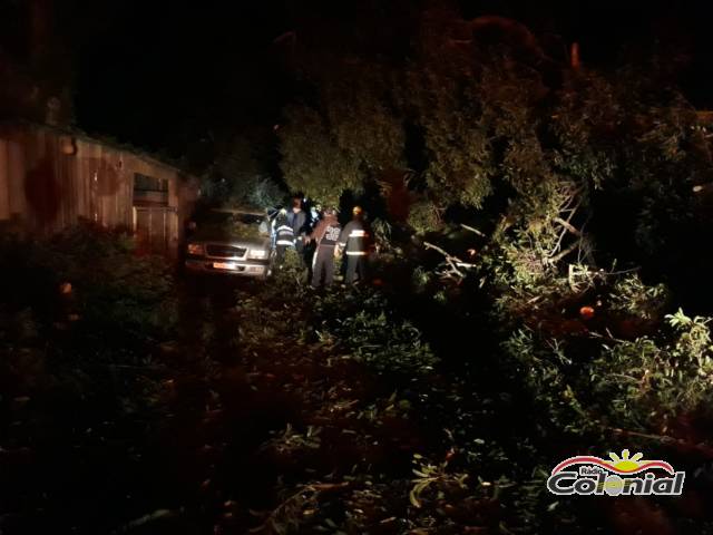 Árvores caem provocam estragos e obstrui estrada em Flor de Maio, interior de Três de Maio