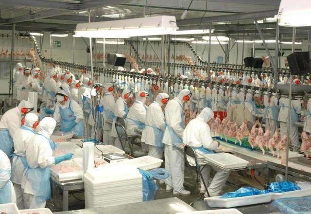 China diz que encontrou coronavírus em carne de frango de frigorífico de Santa Catarina
