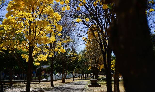 Primavera inicia com previsão de La Niña