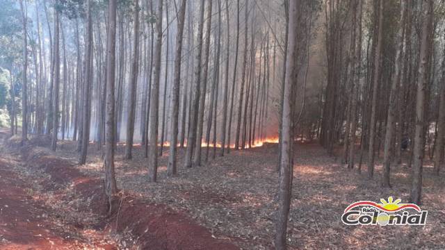 Bombeiros combatem incêndio em vegetação no interior de Três de Maio