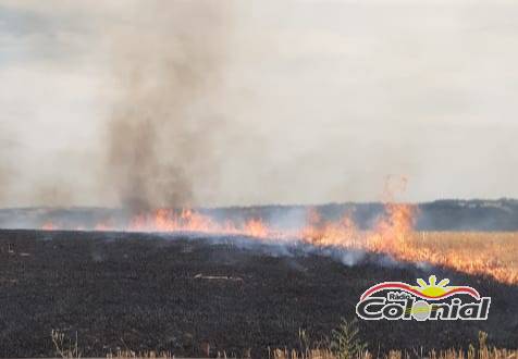 Bombeiros combatem vários focos de incêndio em lavouras no interior de Três de Maio