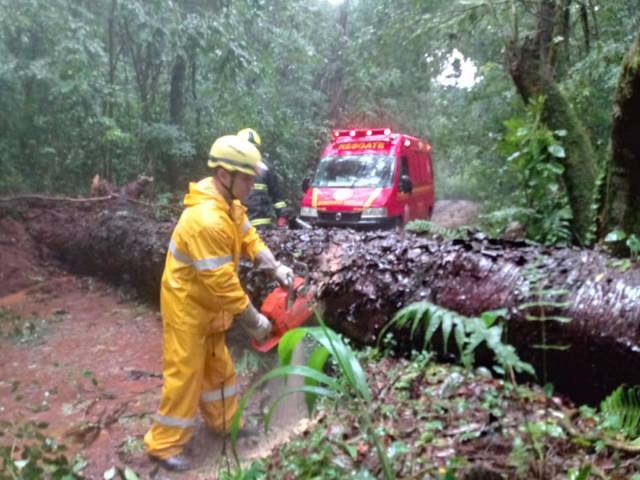 Bombeiros atenderam várias ocorrências após ventania em Três de Maio e região