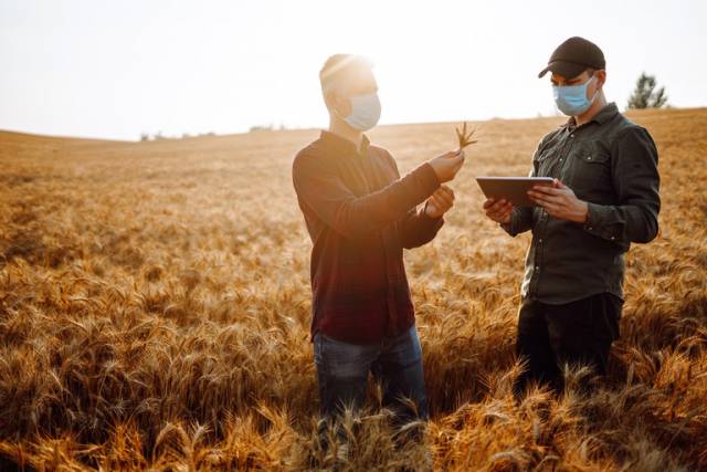 Sistema Unificado de Atenção à Sanidade Agropecuária completa 15 anos nesta terça-feira