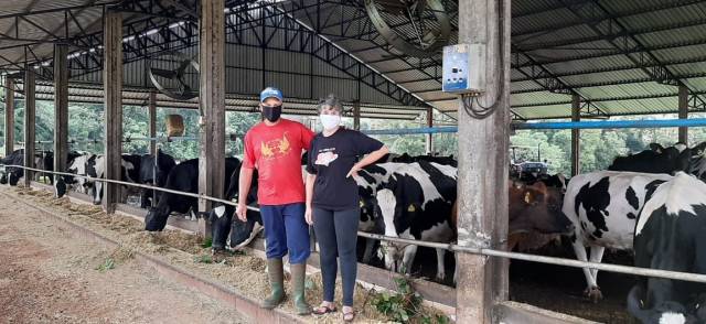 Cotrisal distribui R$ 1,7 milhão de bonificação a produtores de leite