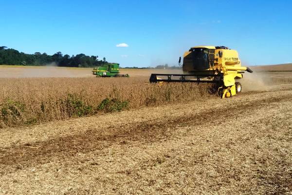 Colheita da soja atinge 80% da área no RS