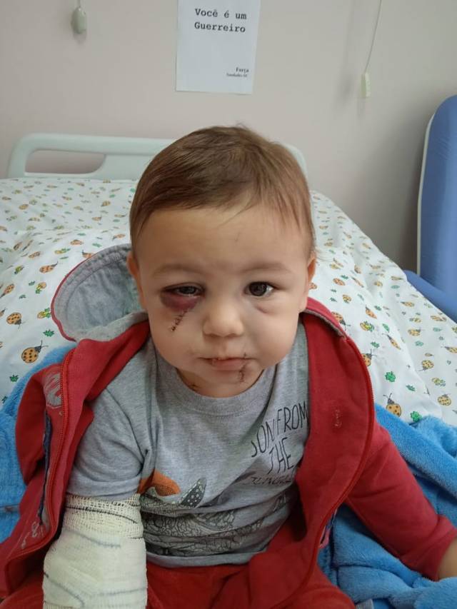 Hospitalizado e sem previsão de alta, bebê ferido em ataque a creche de SC tem cartaz de incentivo: Você é um guerreiro