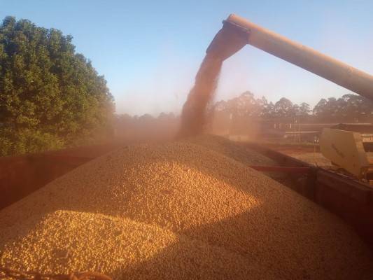 Colheita da soja, com produtividade média recorde, é encerrada em Três de Maio