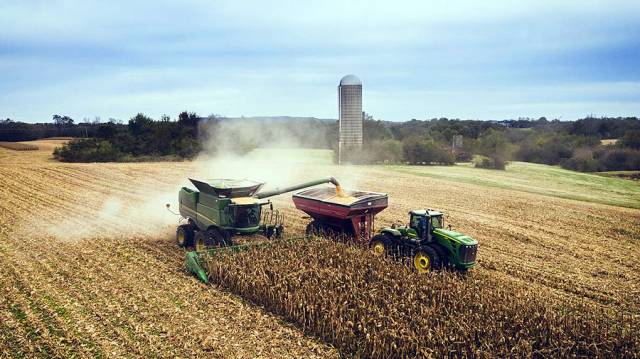 Governo divulga regras do seguro rural para os próximos três anos