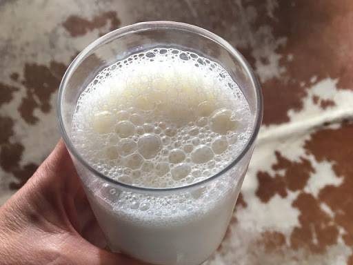 Sindilat apresenta relatório sobre produção leiteira do RS