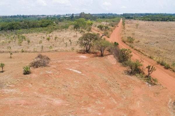 Grileiros devastam área de Cerrado que estava intacta há 4 mil anos