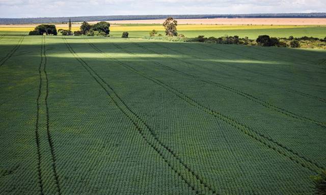 Produtor rural poderá regularizar cadastro ambiental pela internet