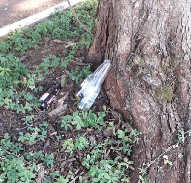 Motoristas param veículo para descartar garrafas vazias no canteiro da Av. Avaí
