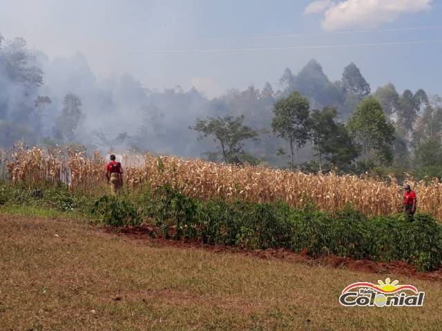 Bombeiros combatem incêndio no interior de Independência