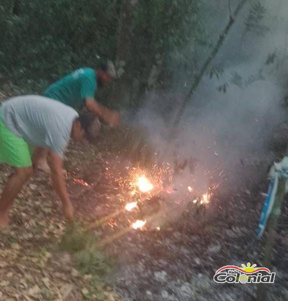 Populares apagam incêndio em vegetação próxima a área urbana de Três de Maio