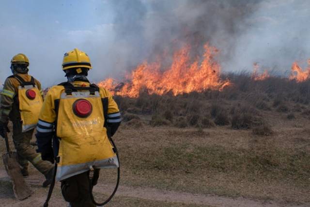 Focos de incêndio na Argentina estão fora de controle