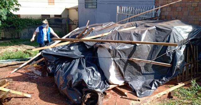 Cidade do noroeste do Estado tem surto de dengue com 10 casos confirmados