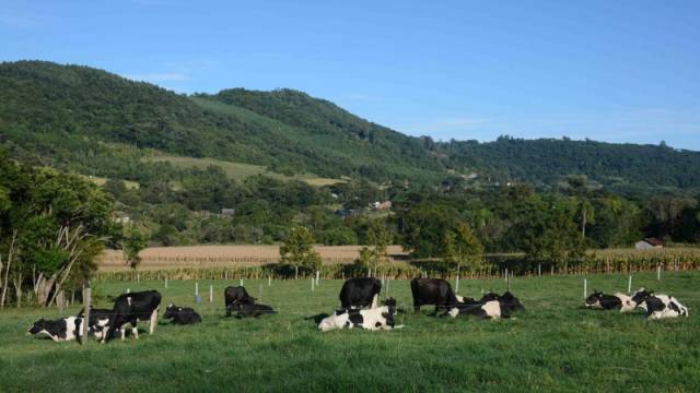 Agricultura autoriza execução do Programa de Sementes Forrageiras 2022