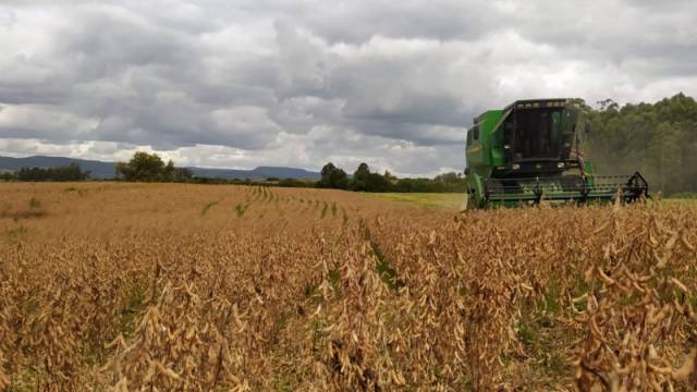 Colheita da soja é retomada e alcança 55% da área cultivada no RS