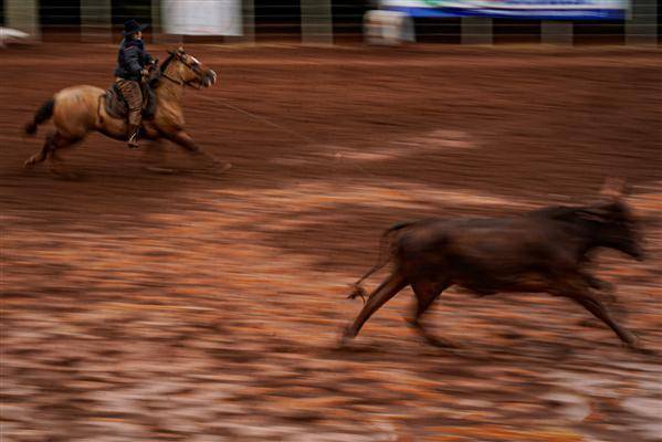 Deputado quer o fim dos rodeios no Rio Grande do Sul