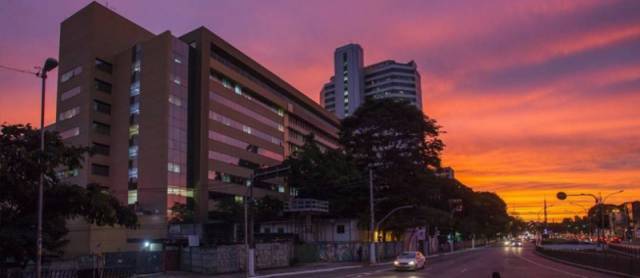 Portal anuncia primeiro caso confirmado da varíola dos macacos no Brasil