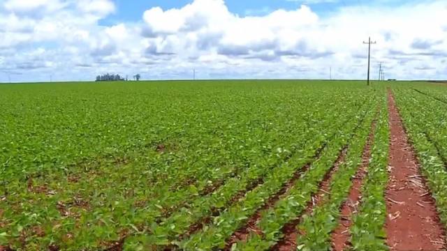 Teto de enquadramento do Pronaf pode limitar acesso ao programa