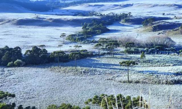 Rio Grande do Sul terá três ondas de frio em agosto