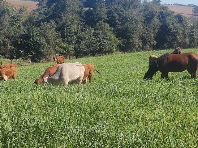 Novidades do agro terão novo espaço na Expo Terneira