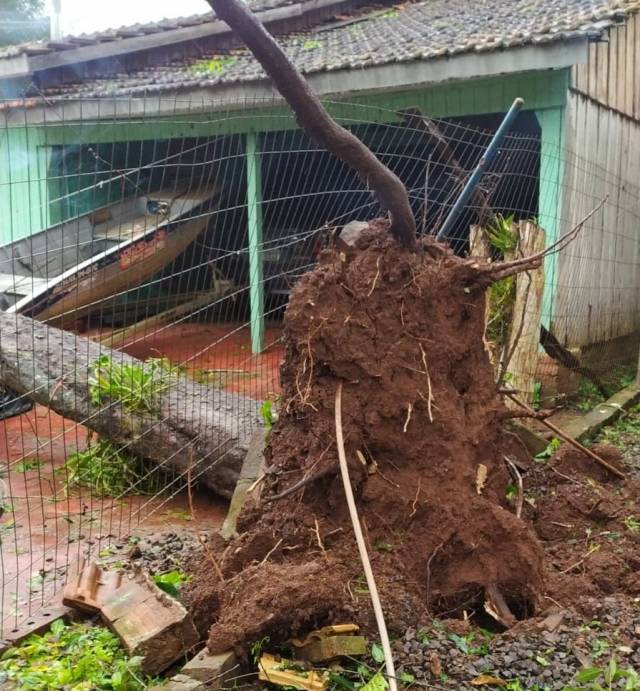 Temporal de vento causa estragos na região