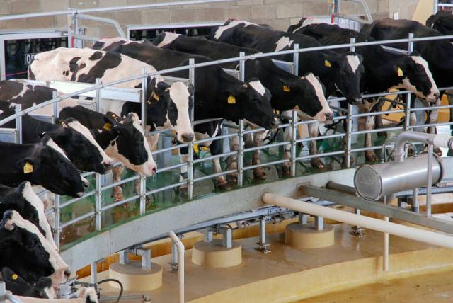 Importações da Argentina ampliam oferta de leite e derrubam preço do produto