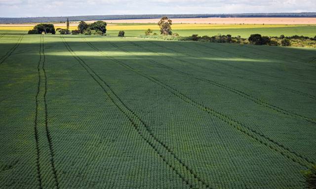 CMN aumenta prazo para análise de pedidos ao Proagro