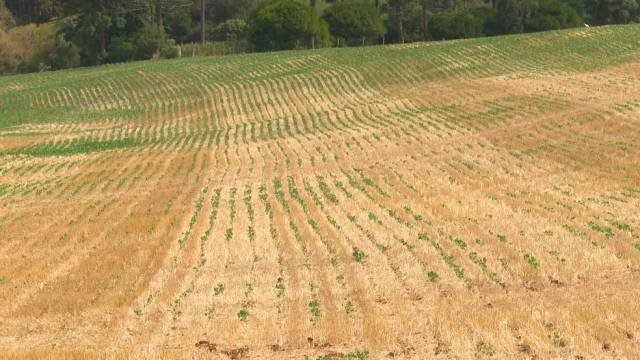 Novo grupo de agricultores familiares pode acessar o SOS Estiagem