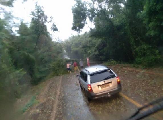 Queda de árvores provoca interrupção no trânsito da RS-342 entre Catuípe e Independência