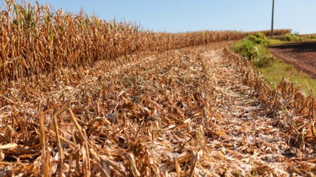 Agricultores familiares de T. de Maio interessados em cestas básicas têm até sexta para se inscrever