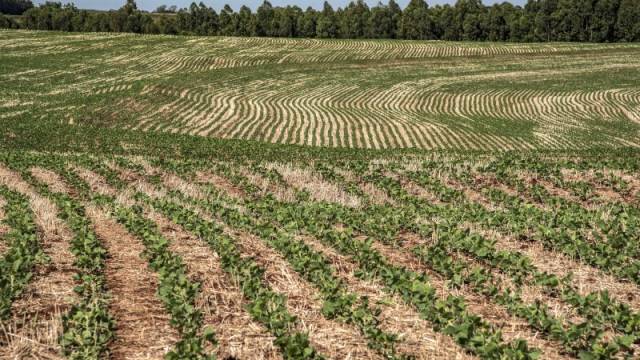 Financiamentos do Plano ABC+ somam R$ 831 milhões na safra 2022/2023