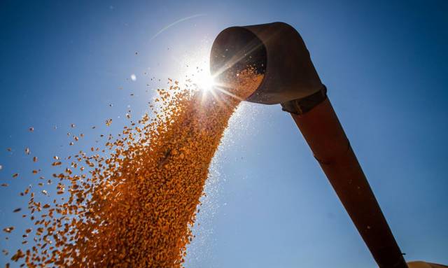 Preços da soja e milho caíram mais rápido que custos de produção