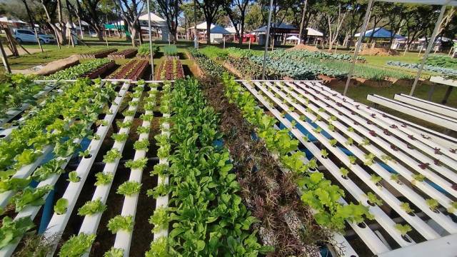 34º Encontro Estadual de Hortigranjeiros tem início em Santa Rosa