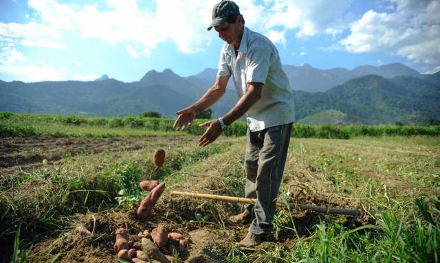 Inadimplência atinge 28% dos trabalhadores rurais no país