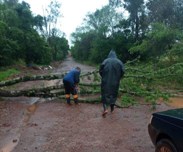 Temporais causam danos no Noroeste do RS