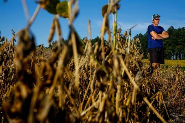 Entenda os impactos climáticos e econômicos de um possível La Niña no segundo semestre