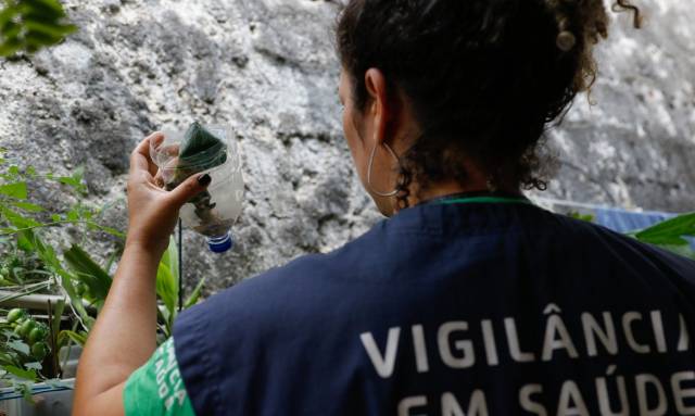 Hemorragia não é o principal sintoma da dengue grave